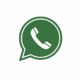 WhatsApp Logo Icon